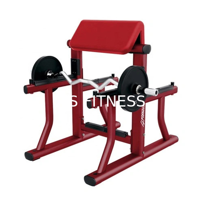 Εμπορικός Arm Curl Bench Predicer Curl Gym Bench
