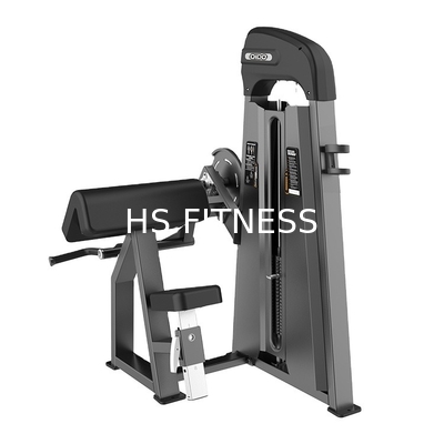 Καθισμένη μηχανή Bicep γυμναστικής Workout για τη δύναμη οικοδόμησης σώματος